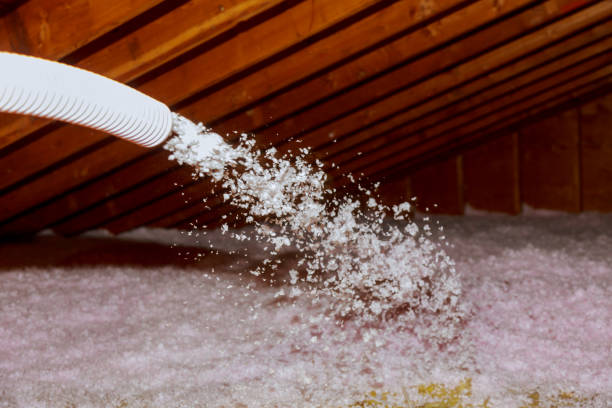 Best Commercial Insulation in Hickman, KY