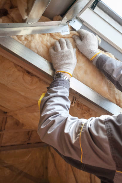 Best Insulation Maintenance and Repair in Hickman, KY