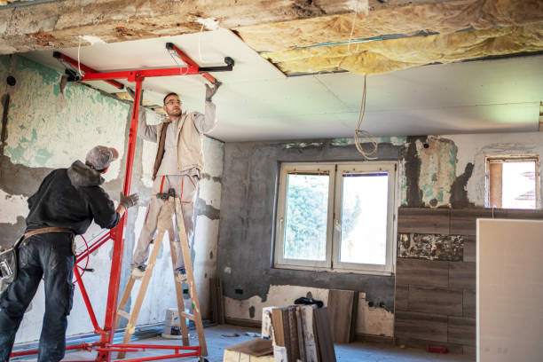 Best DIY Insulation Kits and Guidance in Hickman, KY