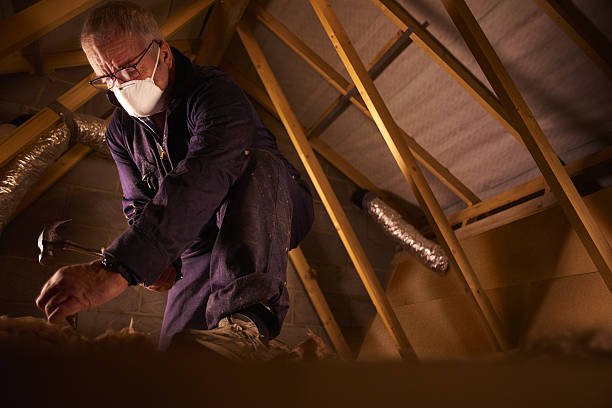 Types of Insulation We Offer in Hickman, KY